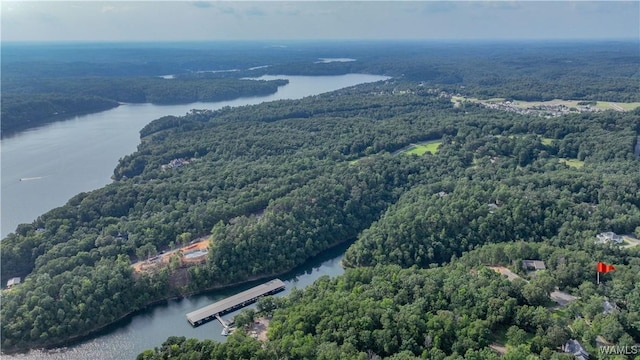 birds eye view of property featuring a wooded view and a water view