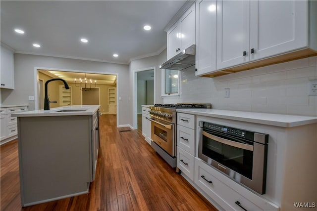 kitchen with under cabinet range hood, decorative backsplash, appliances with stainless steel finishes, dark wood-style floors, and a sink