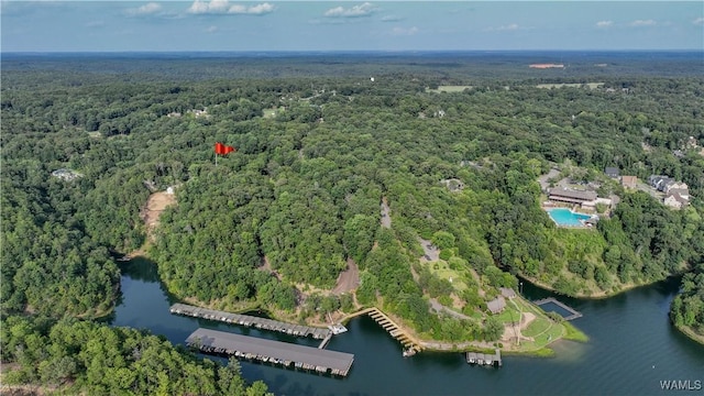 drone / aerial view with a forest view and a water view