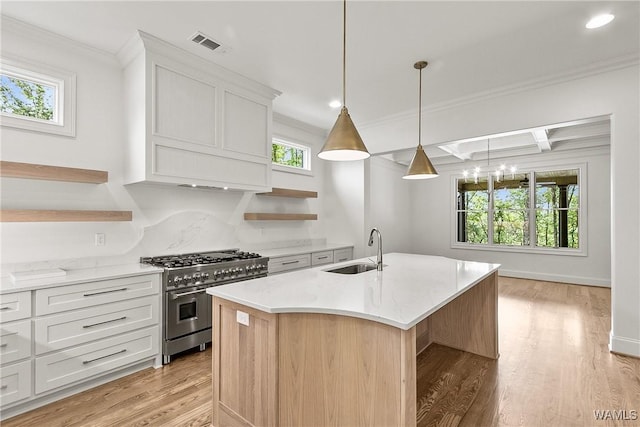 13952 Watercolor Pointe, Northport, AL 35475 - kitchen featuring crown molding, white cabinets, open shelves, a sink, and dark wood-type flooring
