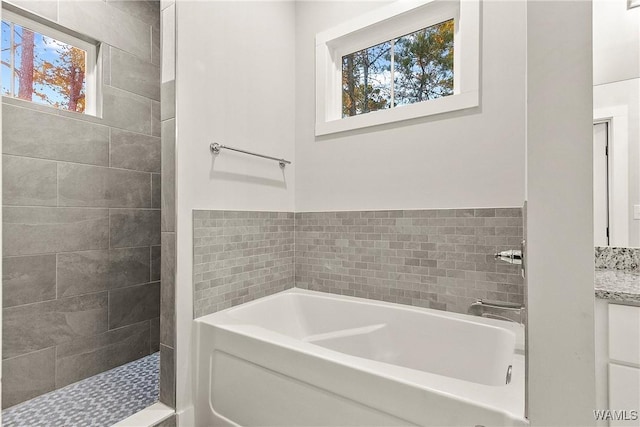 11480 Saint Joseph St, Northport, AL 35475 - full bath with healthy amount of natural light, a bath, and tiled shower