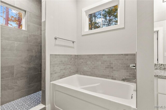 11480 Saint Joseph St, Northport, AL 35475 - full bathroom with plenty of natural light, a bath, and tiled shower