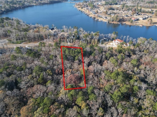 0 Edgewater Dr, Northport, AL 35475 - photo 15