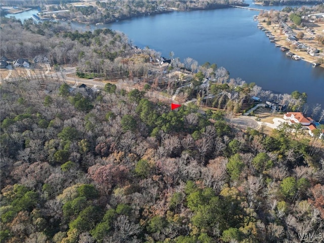 0 Edgewater Dr, Northport, AL 35475 - photo 14