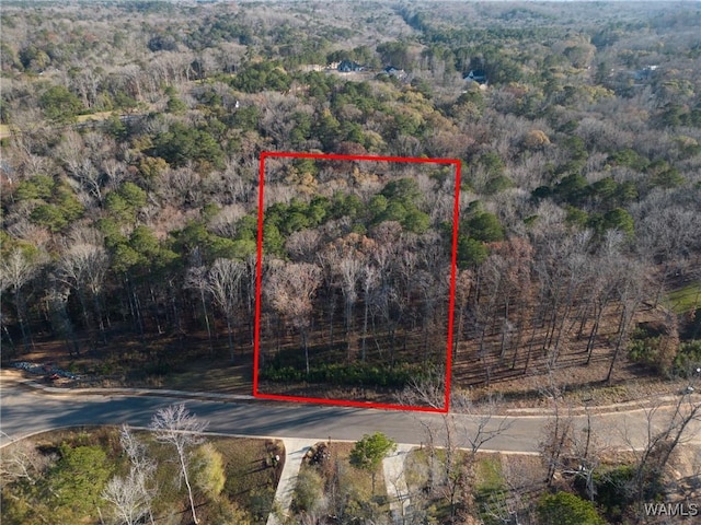 0 Edgewater Dr, Northport, AL 35475 - photo 5