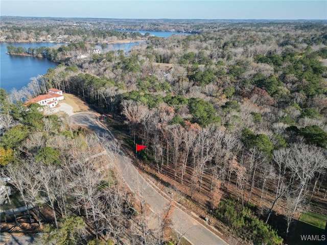 0 Edgewater Dr, Northport, AL 35475 - photo 3