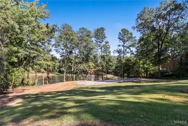 923 Overlook Rd N, Tuscaloosa, AL 35406 - photo 1