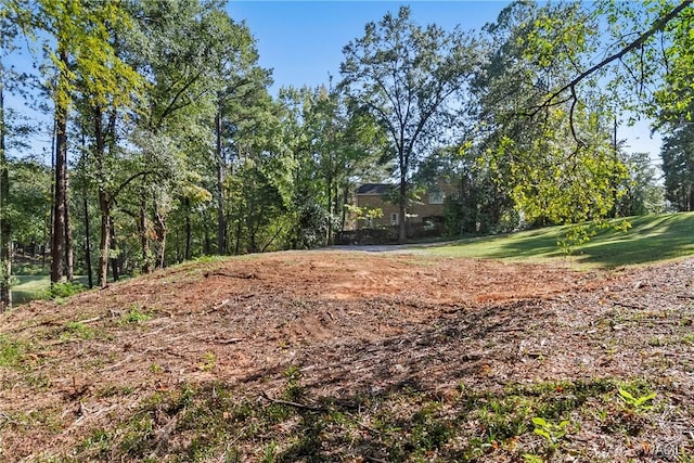 923 Overlook Rd N, Tuscaloosa, AL 35406 - photo 14