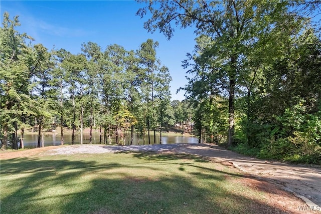 923 Overlook Rd N, Tuscaloosa, AL 35406 - photo 3