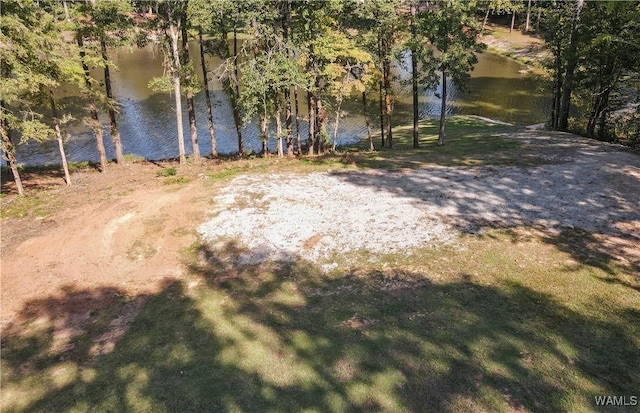 923 Overlook Rd N, Tuscaloosa, AL 35406 - photo 12