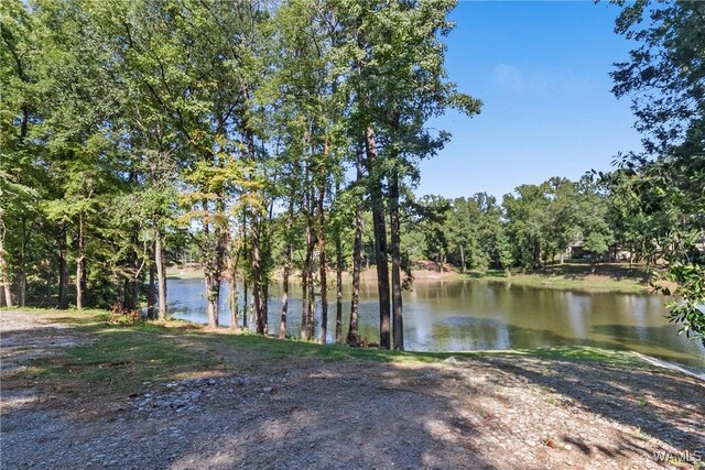 923 Overlook Rd N, Tuscaloosa, AL 35406 - photo 4