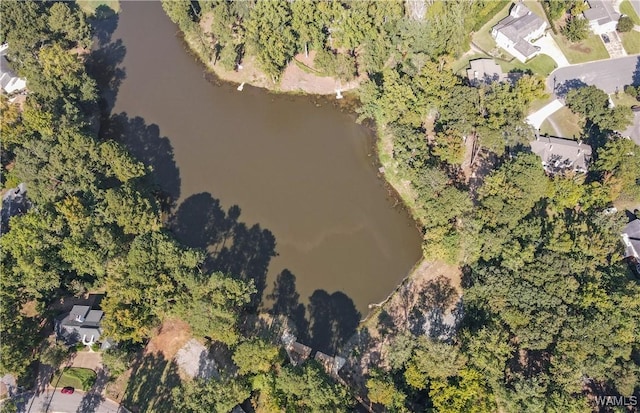 923 Overlook Rd N, Tuscaloosa, AL 35406 - photo 8