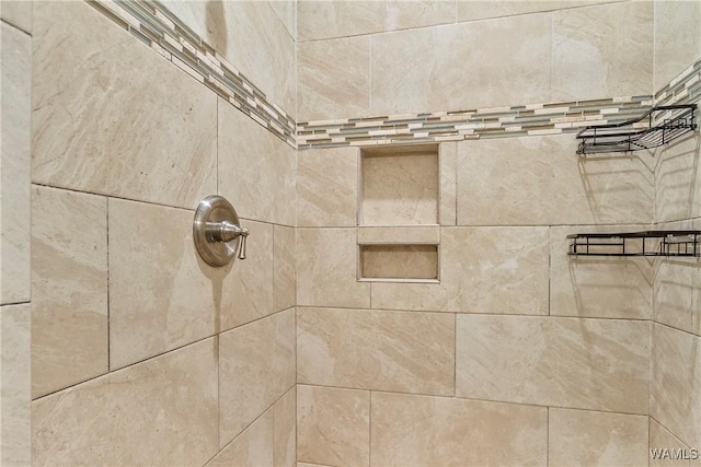 13862 Willow View Ln, Northport, AL 35475 - bathroom view of tiled shower