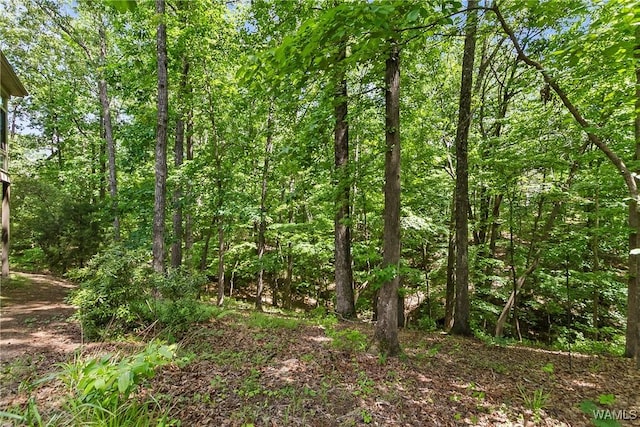 3939 Versailles Ln, Tuscaloosa, AL 35406 - photo 41