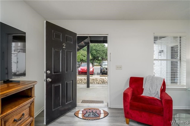 entryway with hardwood / wood-style floors