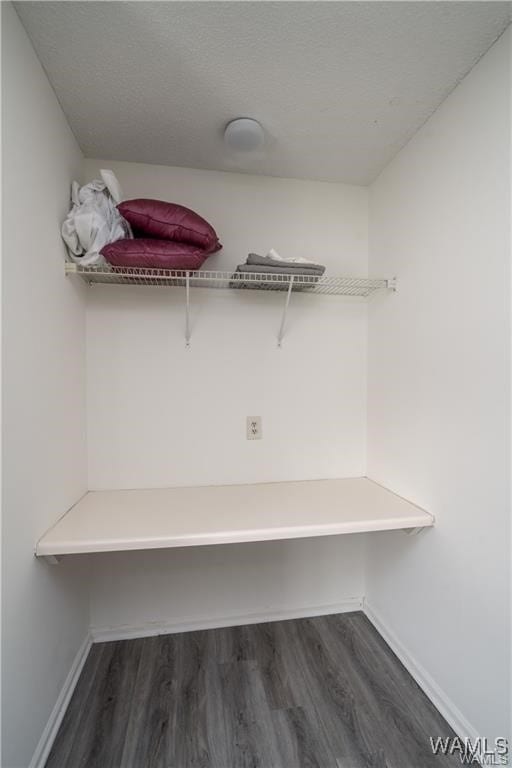 walk in closet with dark wood-type flooring