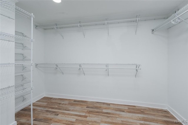 11376 Kings Loop Rd, Tuscaloosa, AL 35405 - spacious closet featuring light wood-type flooring