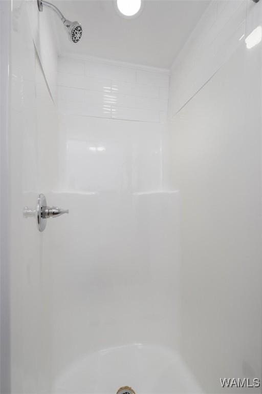 11376 Kings Loop Rd, Tuscaloosa, AL 35405 - full bath with a shower