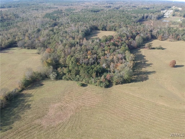 birds eye view of property featuring a view of trees