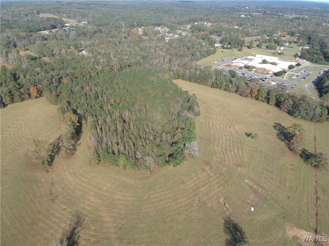 birds eye view of property featuring a forest view