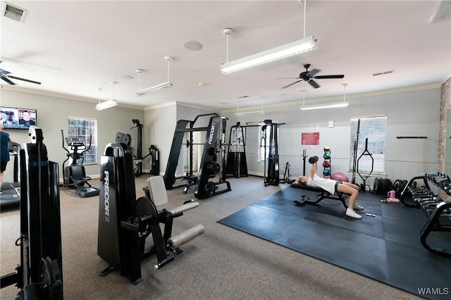 gym with a wealth of natural light, a ceiling fan, crown molding, and visible vents