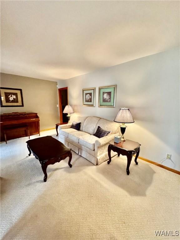 living room with carpet