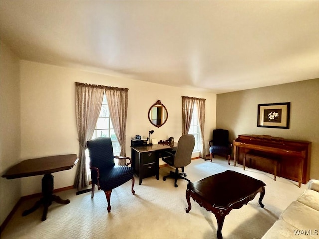 living room featuring light carpet