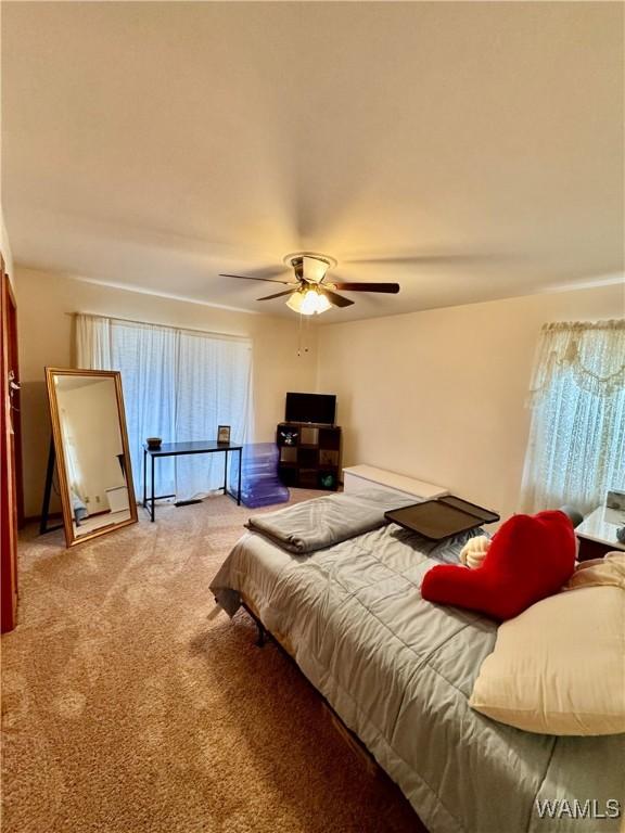 bedroom with ceiling fan, light carpet, and multiple windows