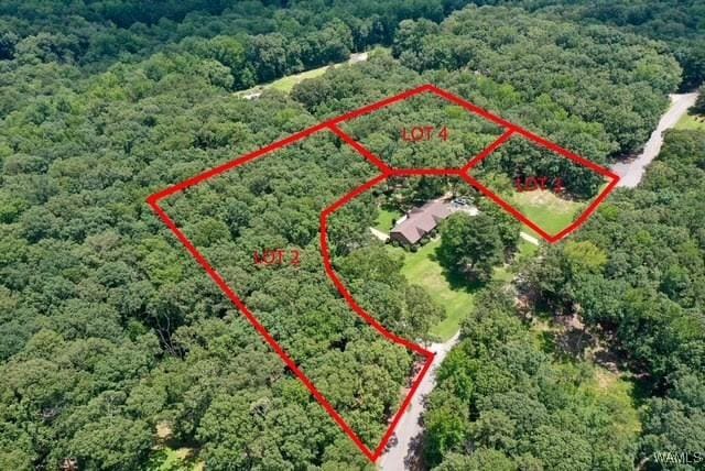 0 Frank Lary Rd, Northport, AL 35475 - photo 3