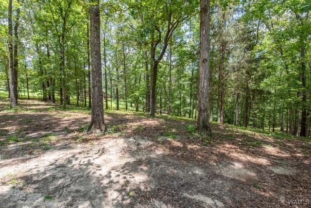 0 Frank Lary Rd, Northport, AL 35475 - photo 1
