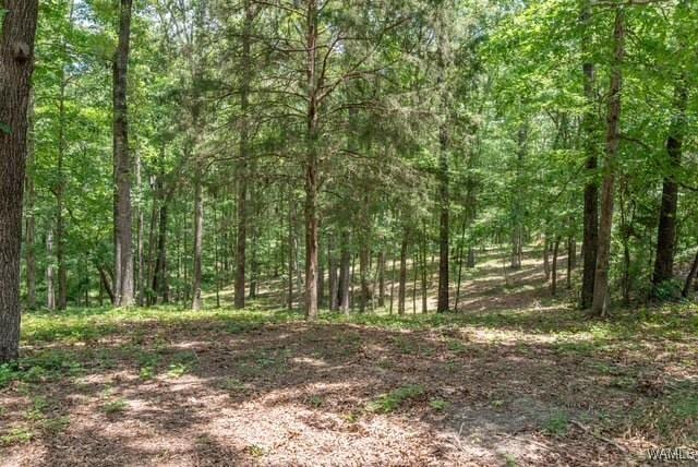 0 Frank Lary Rd, Northport, AL 35475 - photo 7