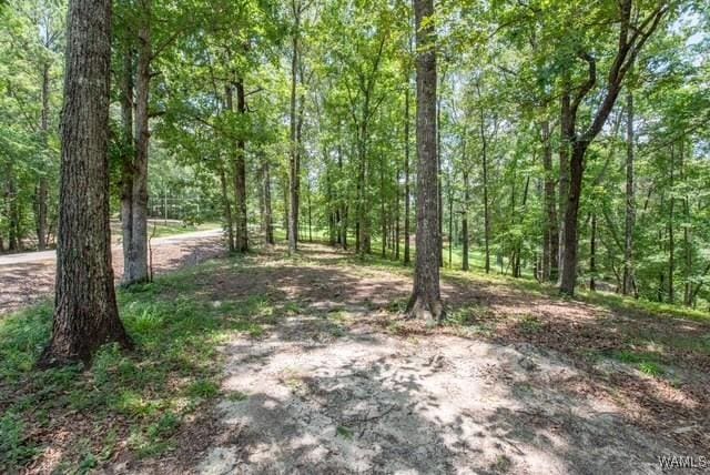 0 Frank Lary Rd, Northport, AL 35475 - photo 6