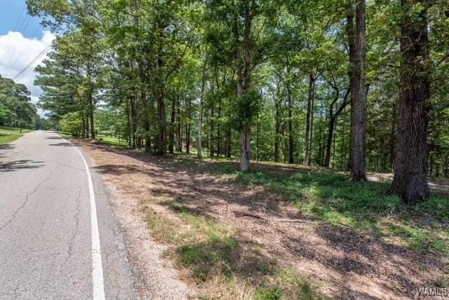 0 Frank Lary Rd, Northport, AL 35475 - photo 5