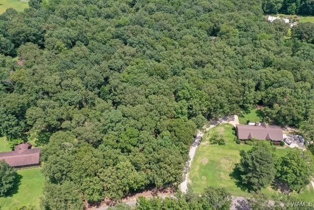 0 Frank Lary Rd, Northport, AL 35475 - photo 4