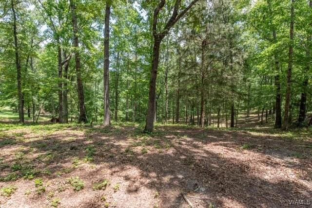 0 Frank Lary Rd, Northport, AL 35475 - photo 2