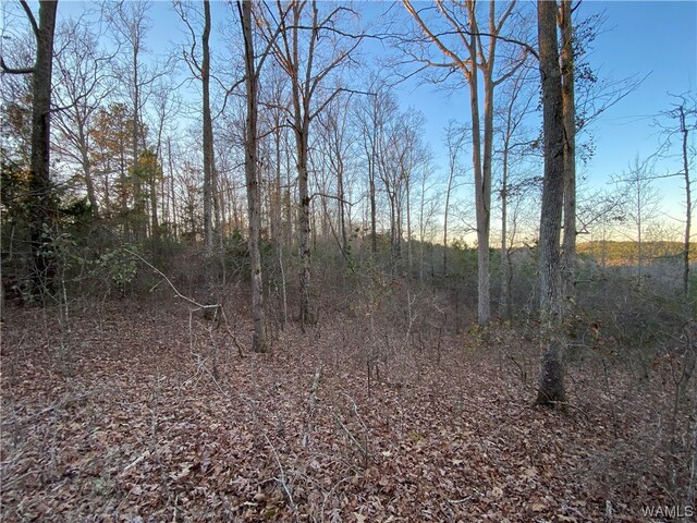 6 Harless Rd, Northport, AL 35475 - photo 4