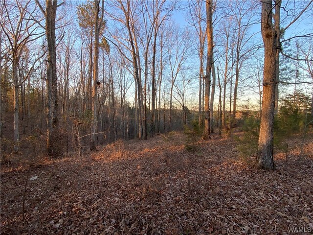 6 Harless Rd, Northport, AL 35475 - photo 9