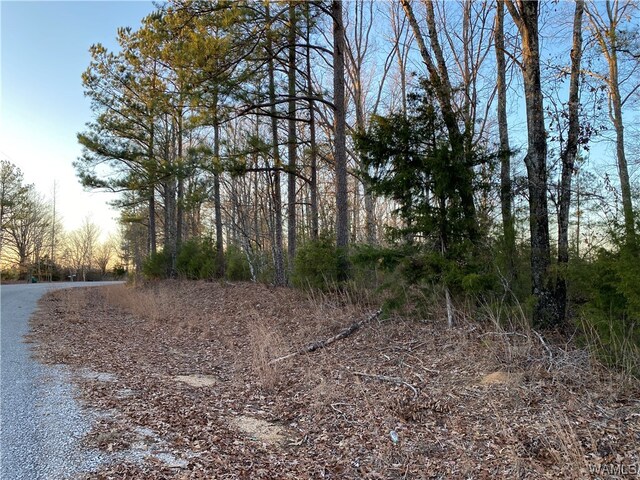6 Harless Rd, Northport, AL 35475 - photo 5