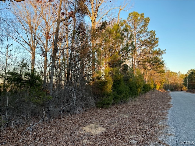 6 Harless Rd, Northport, AL 35475 - photo 7
