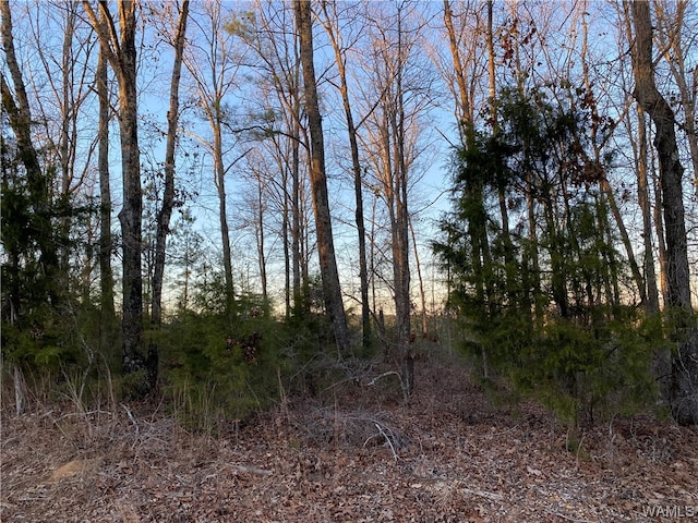 6 Harless Rd, Northport, AL 35475 - photo 6