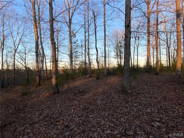 6 Harless Rd, Northport, AL 35475 - photo 8