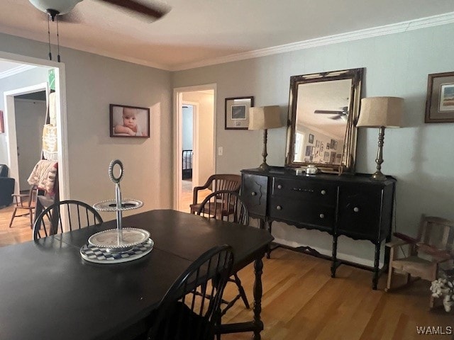 dining space featuring ceiling fan, light hardwood / wood-style floors, and ornamental molding