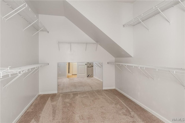 walk in closet featuring carpet flooring