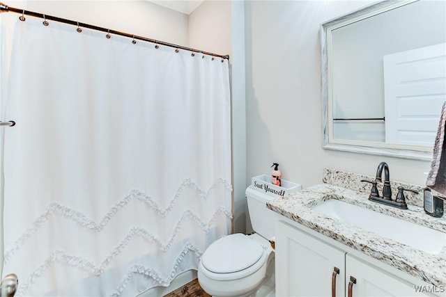 bathroom with toilet and vanity