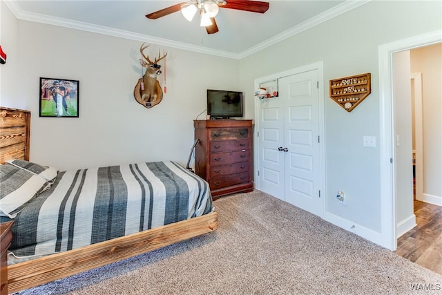 bedroom featuring a closet, ceiling fan, carpet, and ornamental molding