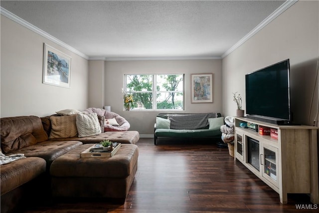 2209 9th St Unit 403, Tuscaloosa, AL 35401 - photo 3