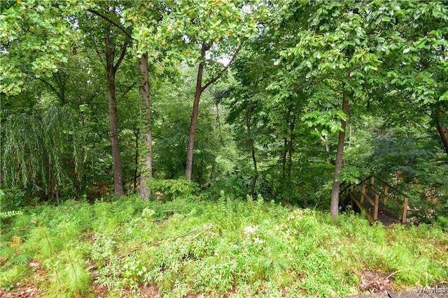 2161 Fox Ridge Rd, Tuscaloosa, AL 35406 - photo 36