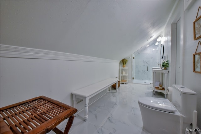 bathroom with a shower, vaulted ceiling, and toilet