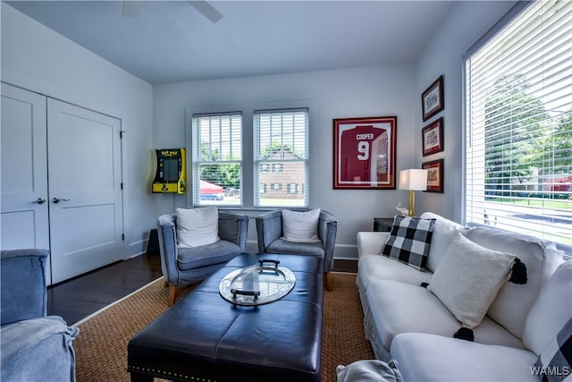 living room with dark wood-type flooring