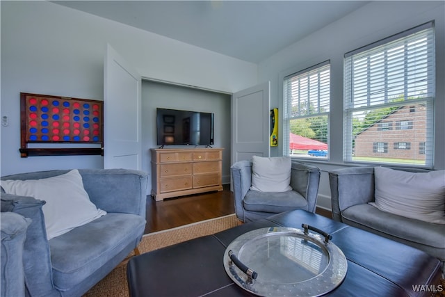 living area featuring dark hardwood / wood-style floors